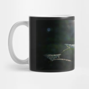 Wet Leaf Lens Flare Mug